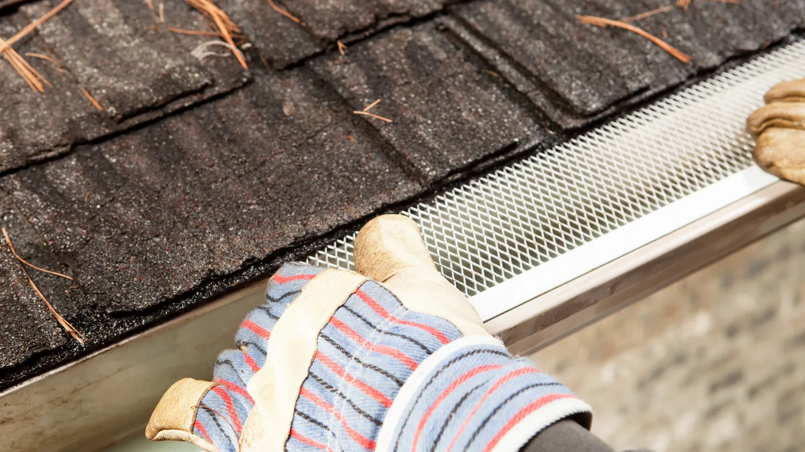 Along a shingle roof edge a roofer fits mesh gutter guard